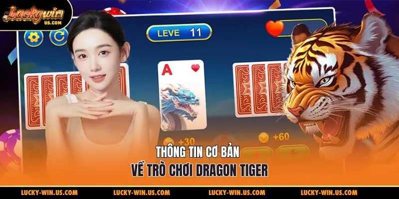 Thông tin cơ bản về trò chơi dragon tiger