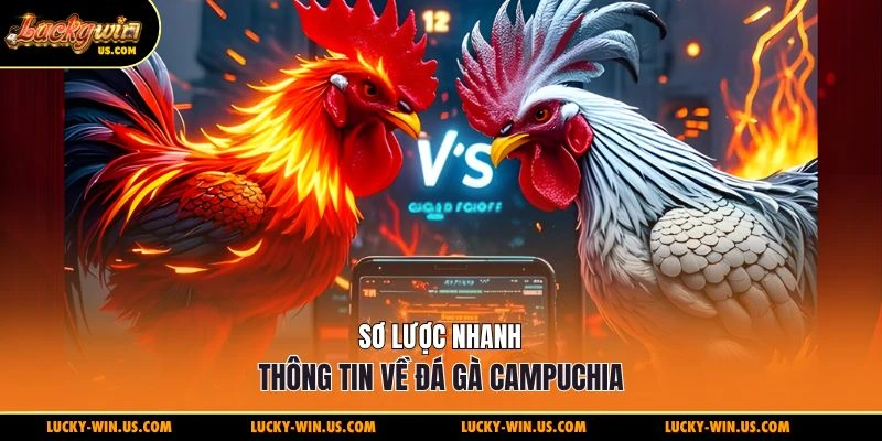 Sơ lược nhanh thông tin về đá gà Campuchia