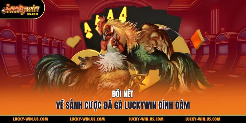 Đôi nét về sảnh cược đá gà Luckywin đình đám
