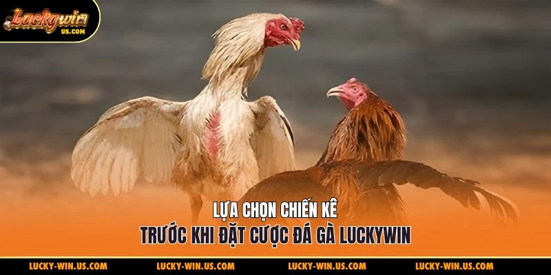 Lựa chọn chiến kê trước khi đặt cược đá gà Luckywin